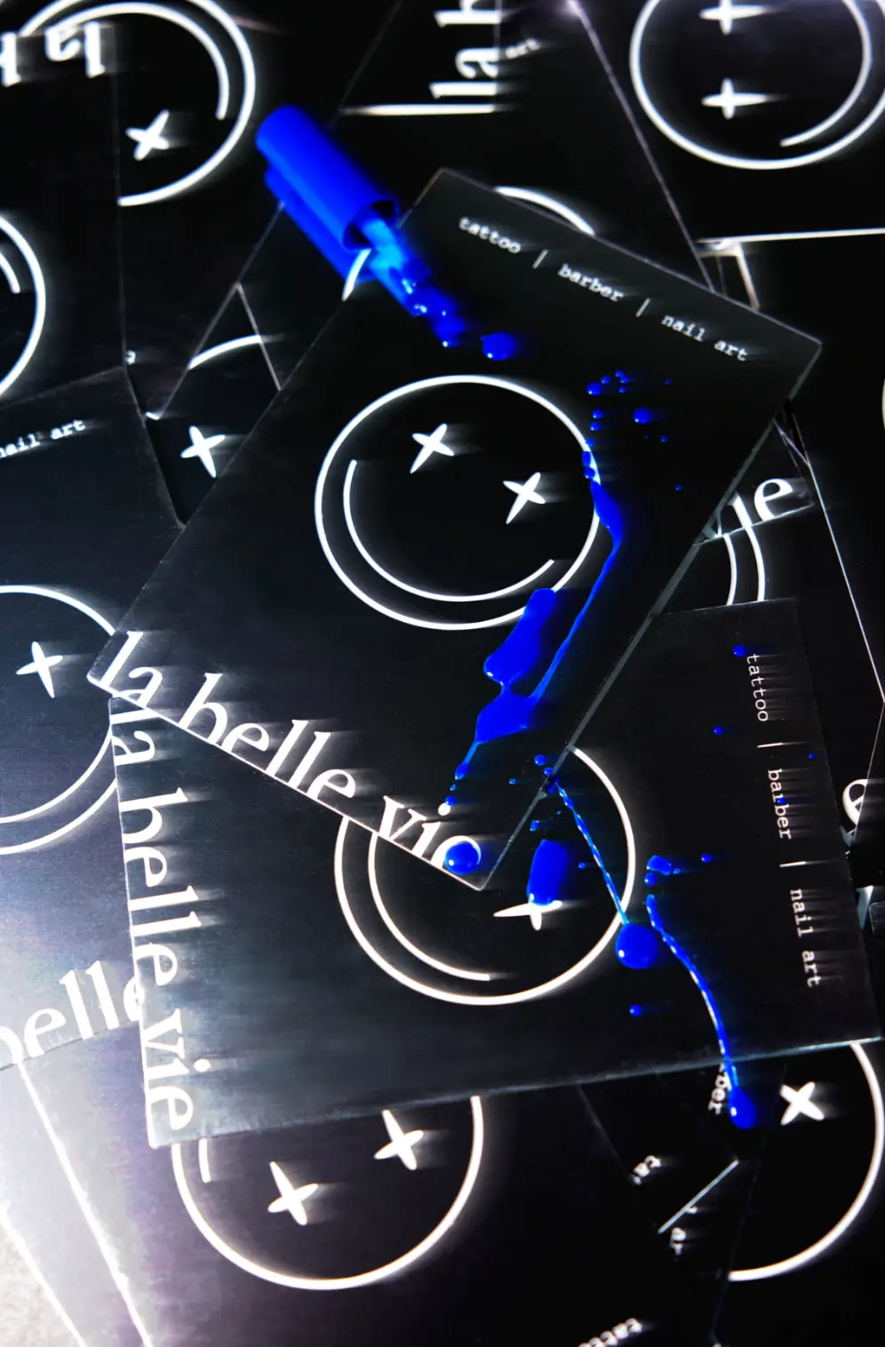 Couverture image du projet La belle vie